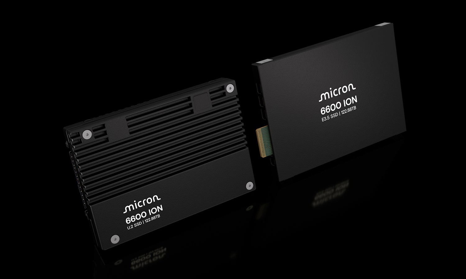 Micron 6600 ION NVMe™ SSD product family